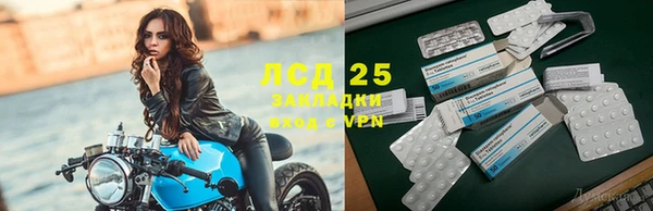 крисы Белоозёрский