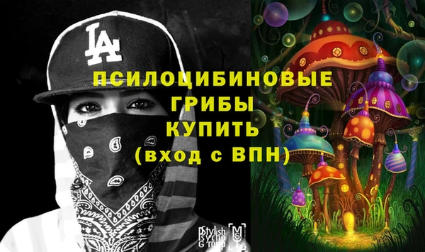 крисы Белоозёрский