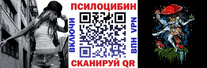 закладка  Удачный  Псилоцибиновые грибы мицелий 