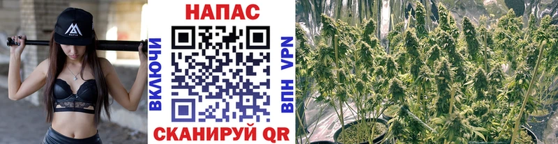 блэк спрут зеркало  Удачный  Конопля семена 